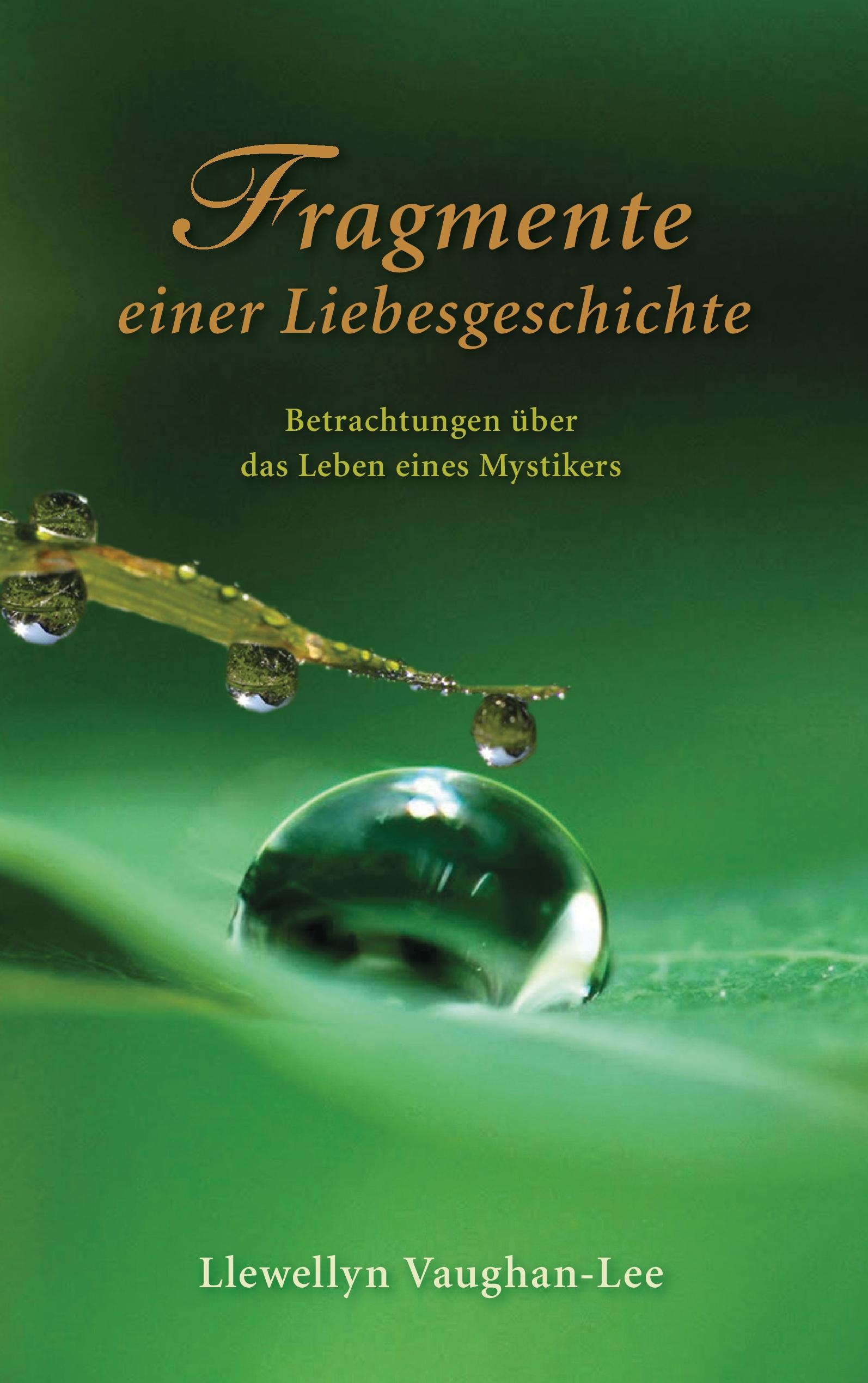 Vorderes Coverbild Fragmente einer Liebesgeschichte