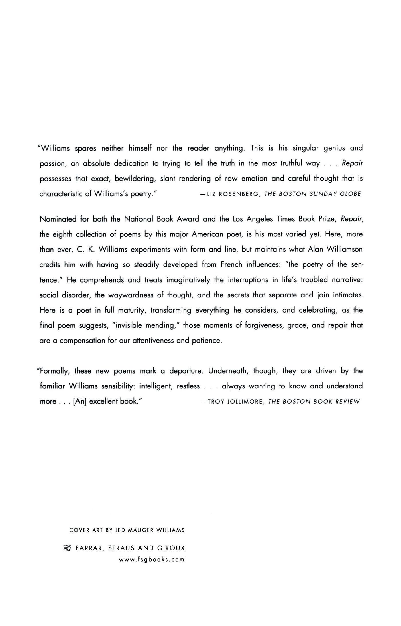 Rückseitencover Repair