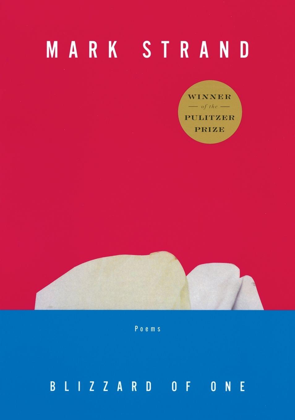 Vorderes Coverbild Blizzard of One