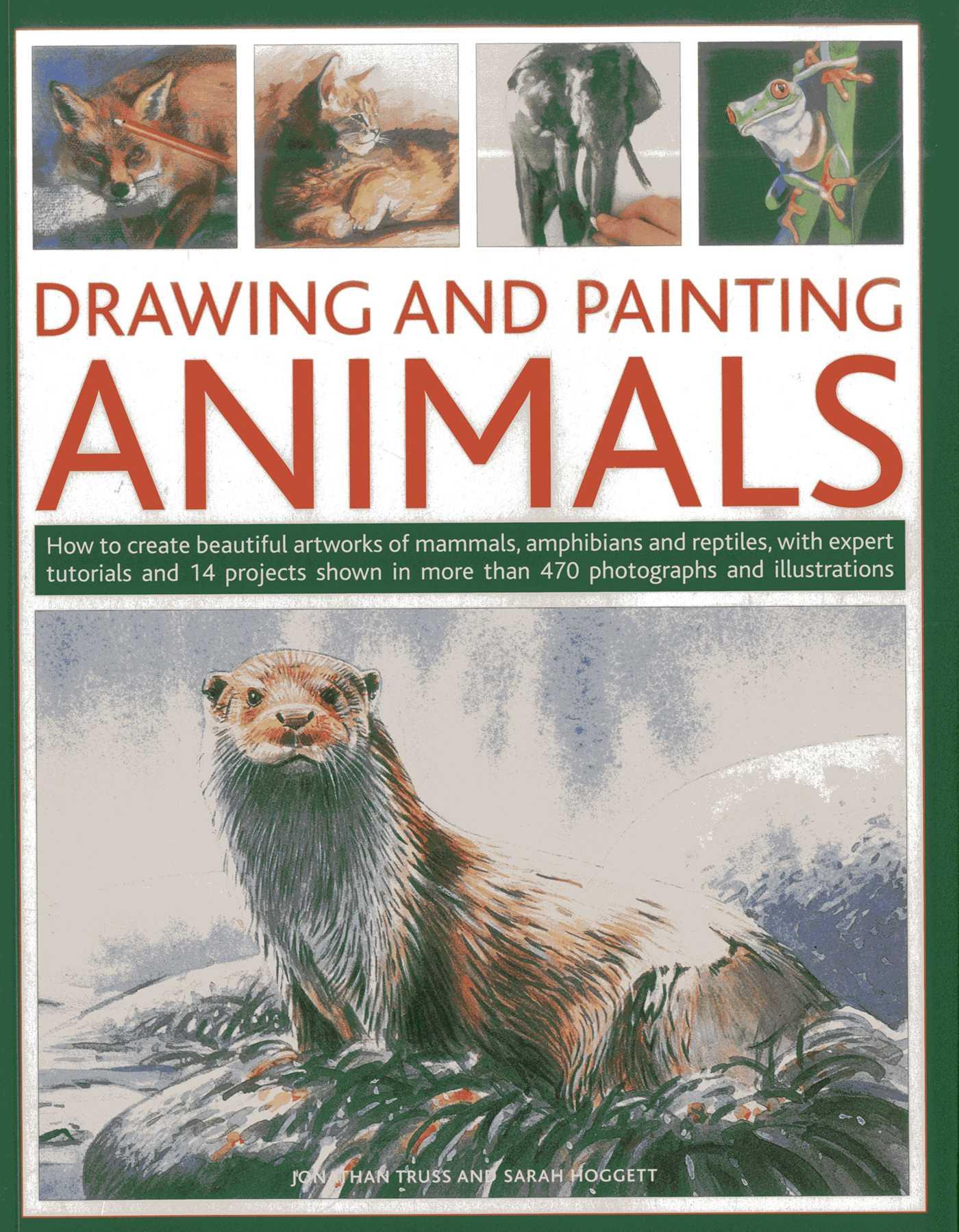 Vorderes Coverbild Drawing and Painting Animals