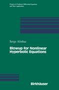 Vorderes Coverbild Blowup for Nonlinear Hyperbolic Equations