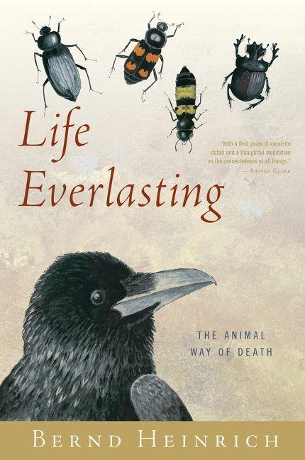 Vorderes Coverbild Life Everlasting