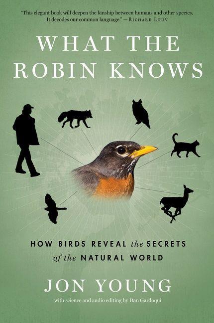 Vorderes Coverbild What the Robin Knows