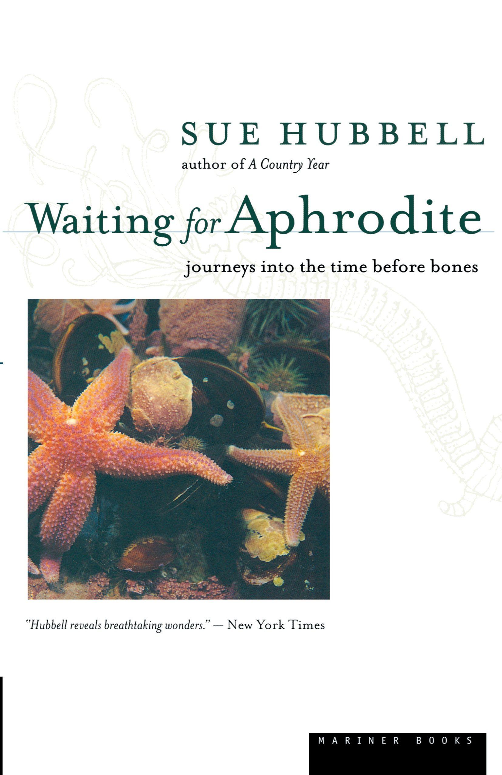 Vorderes Coverbild Waiting for Aphrodite