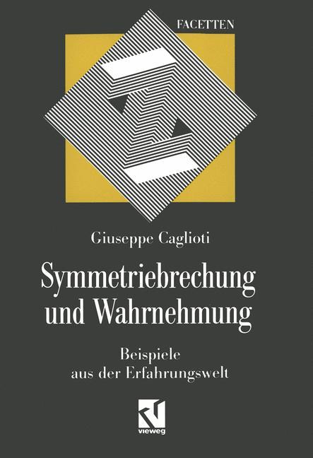 Vorderes Coverbild Symmetriebrechung und Wahrnehmung
