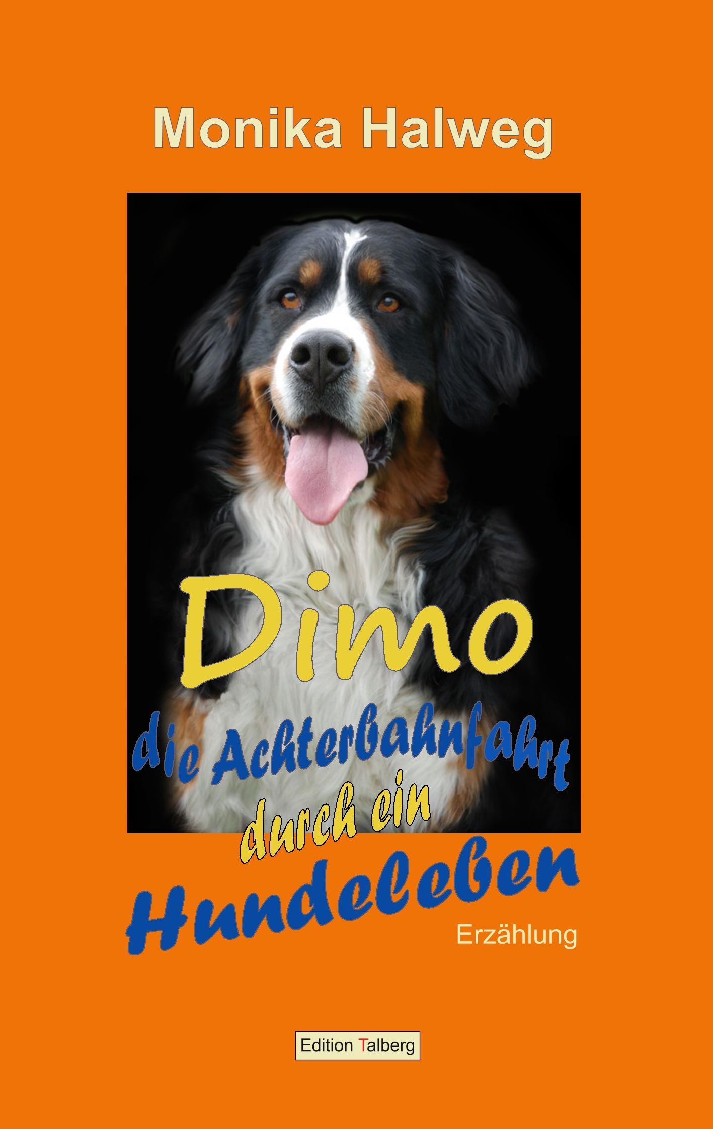 Vorderes Coverbild Dimo