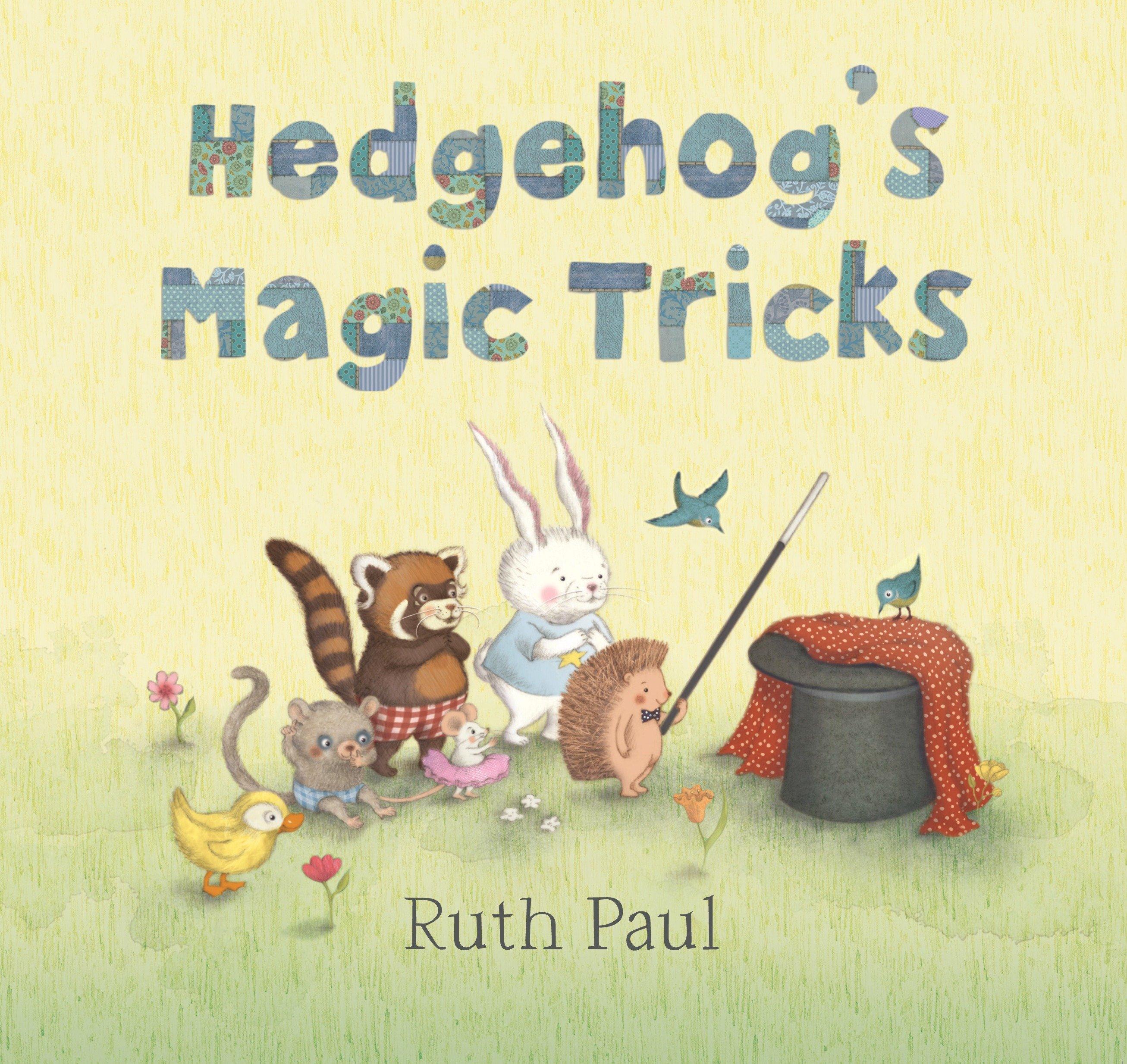 Vorderes Coverbild Hedgehog's Magic Tricks