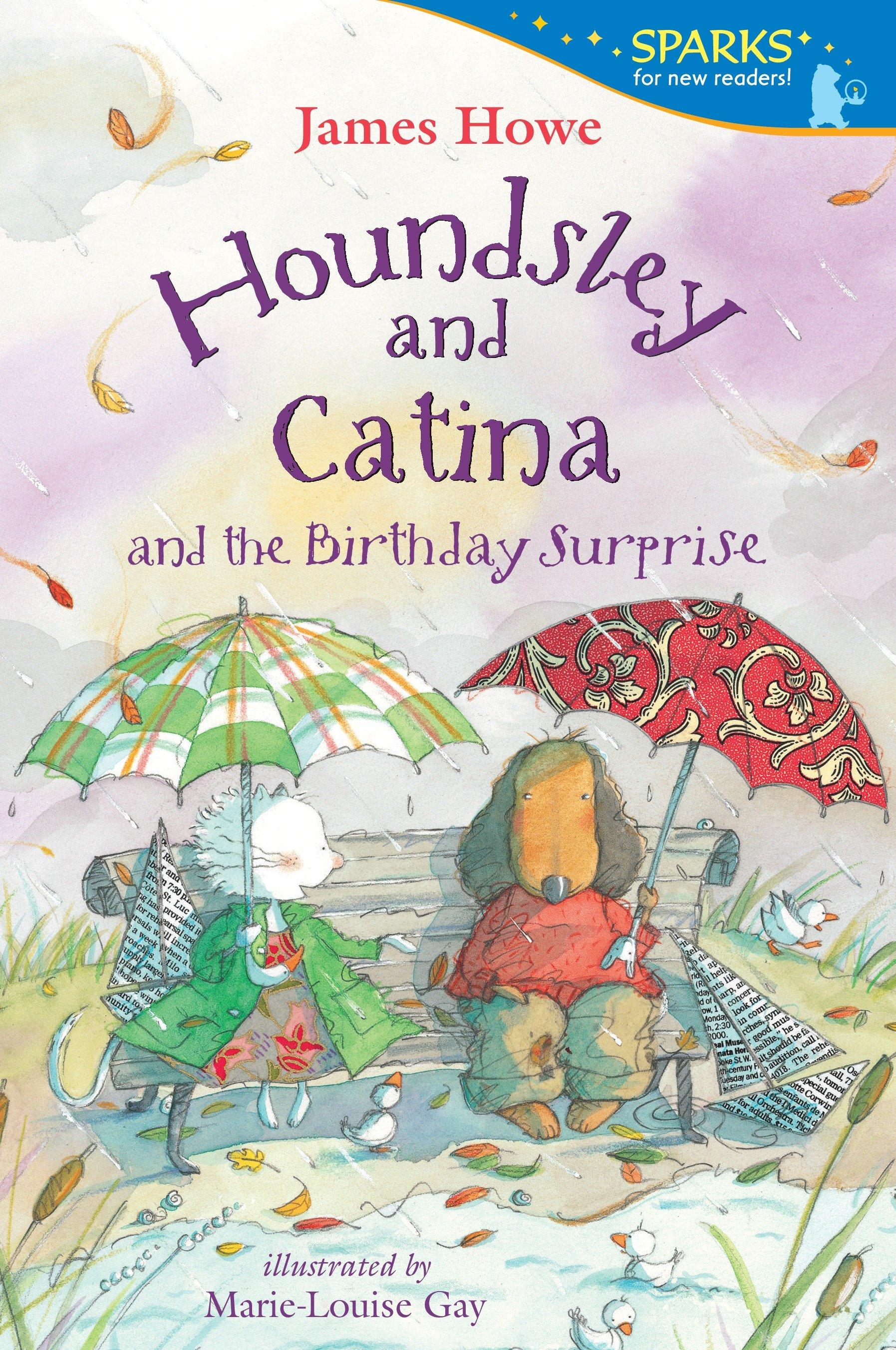 Vorderes Coverbild Houndsley and Catina and the Birthday Surprise