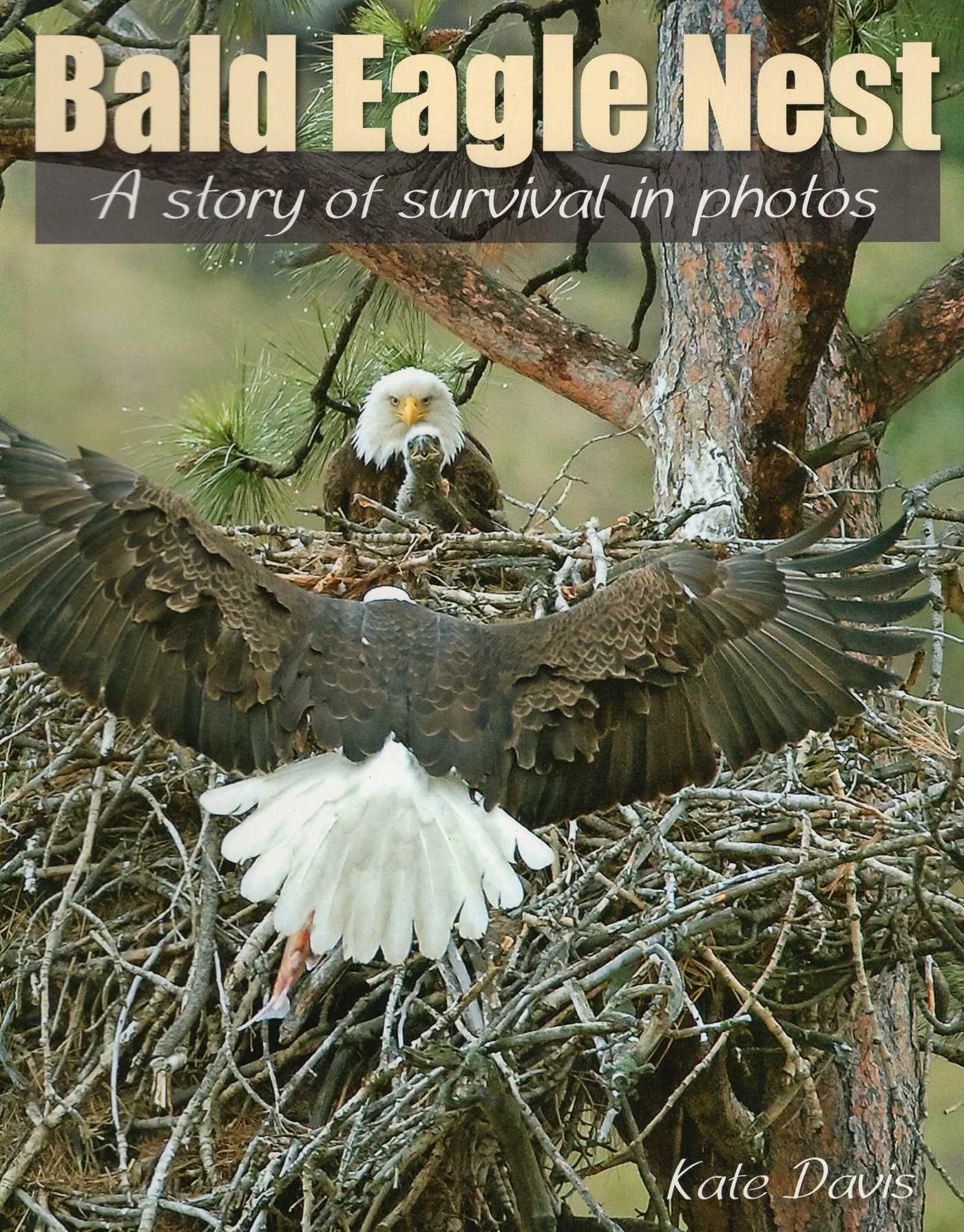 Vorderes Coverbild Bald Eagle Nest