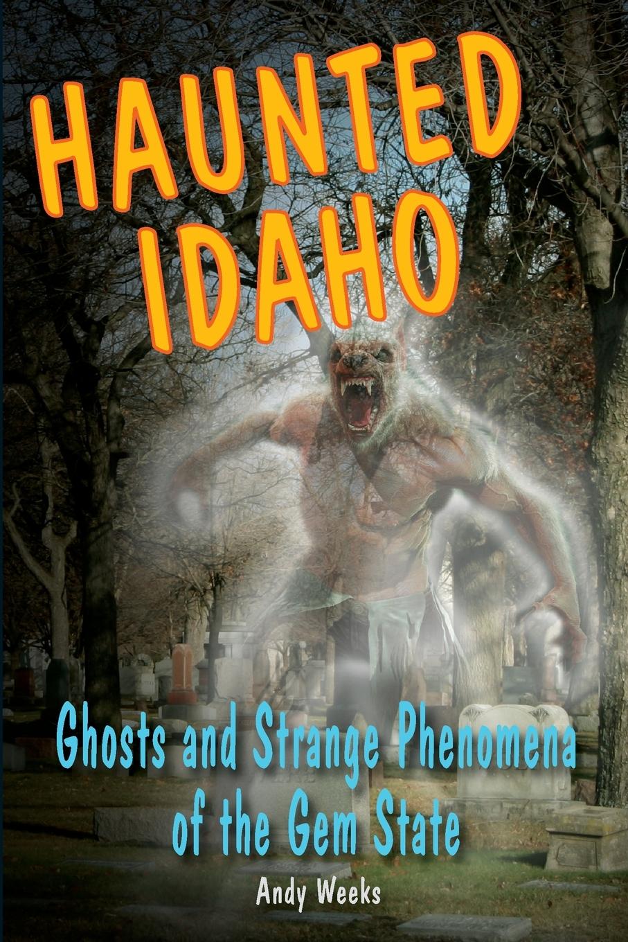 Vorderes Coverbild Haunted Idaho
