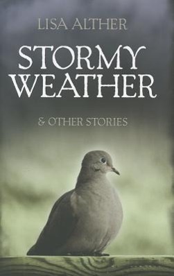 Vorderes Coverbild Stormy Weather & Other Stories