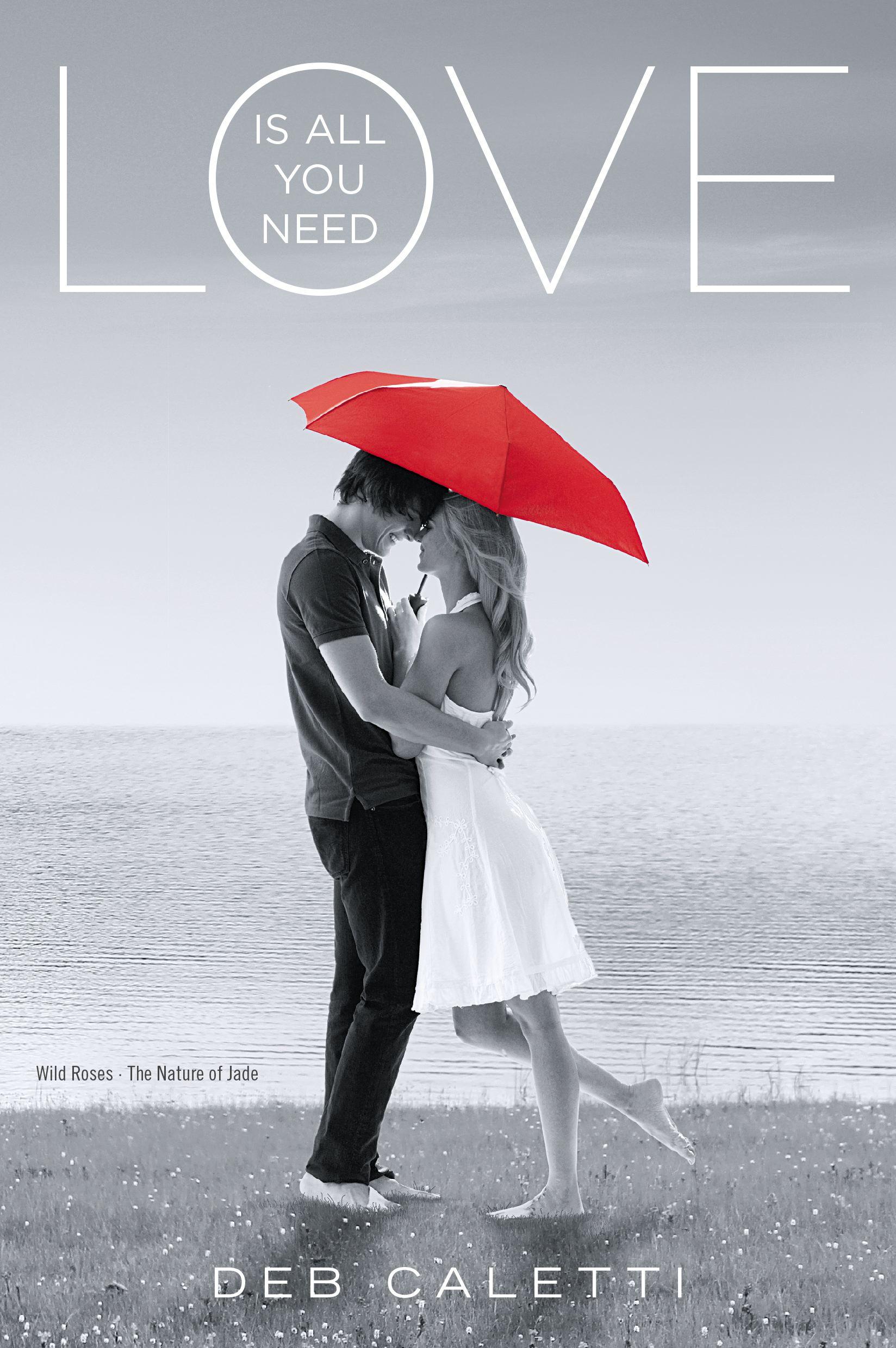 Vorderes Coverbild Love Is All You Need
