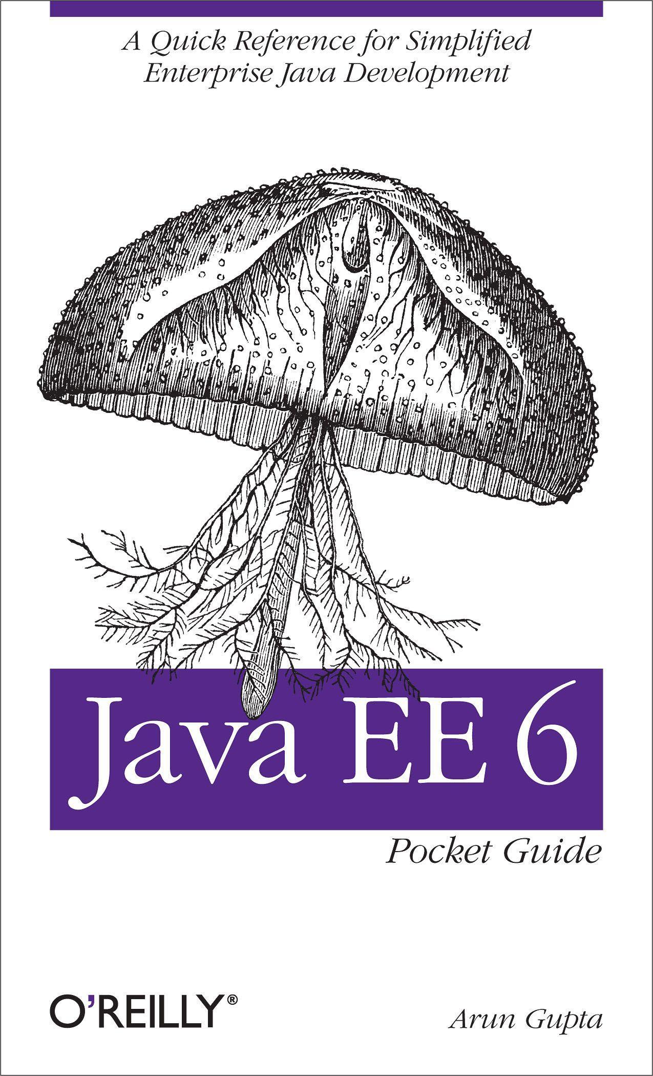 Vorderes Coverbild Java Ee 6 Pocket Guide