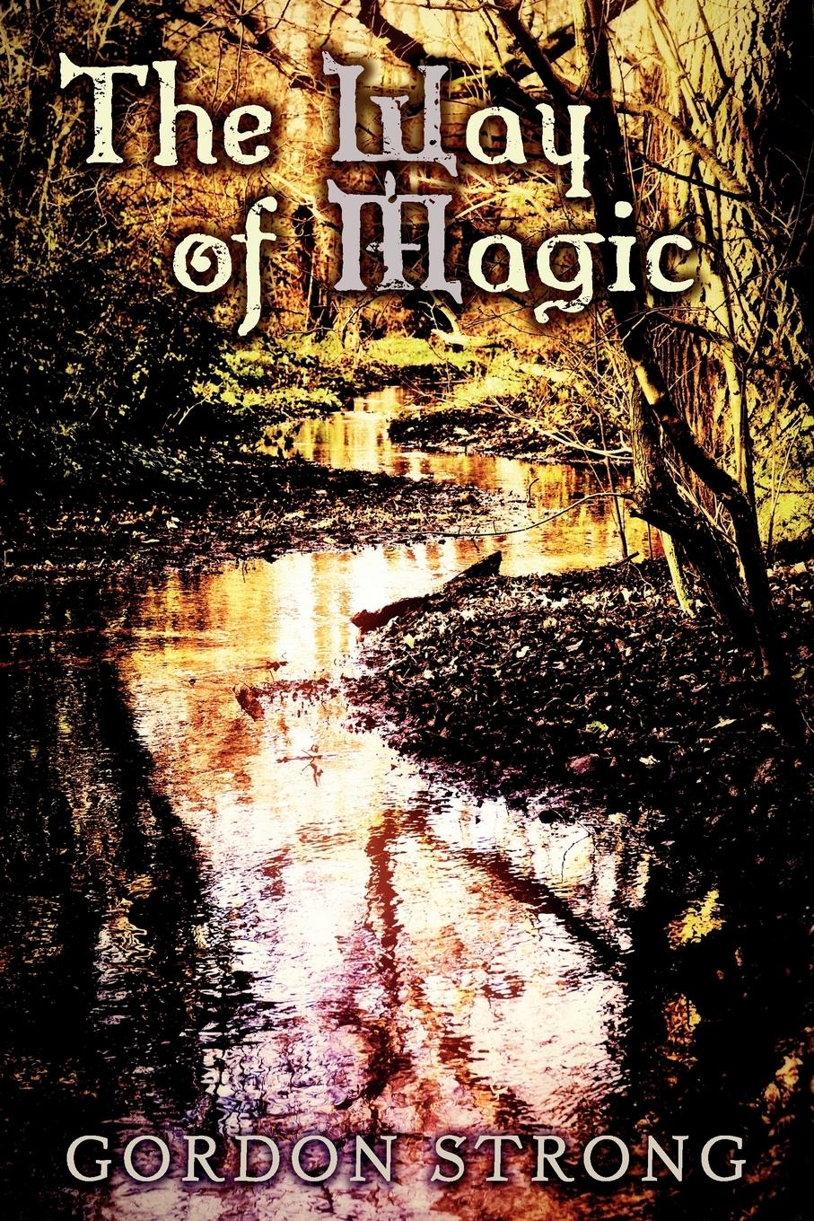 Vorderes Coverbild The Way of Magic