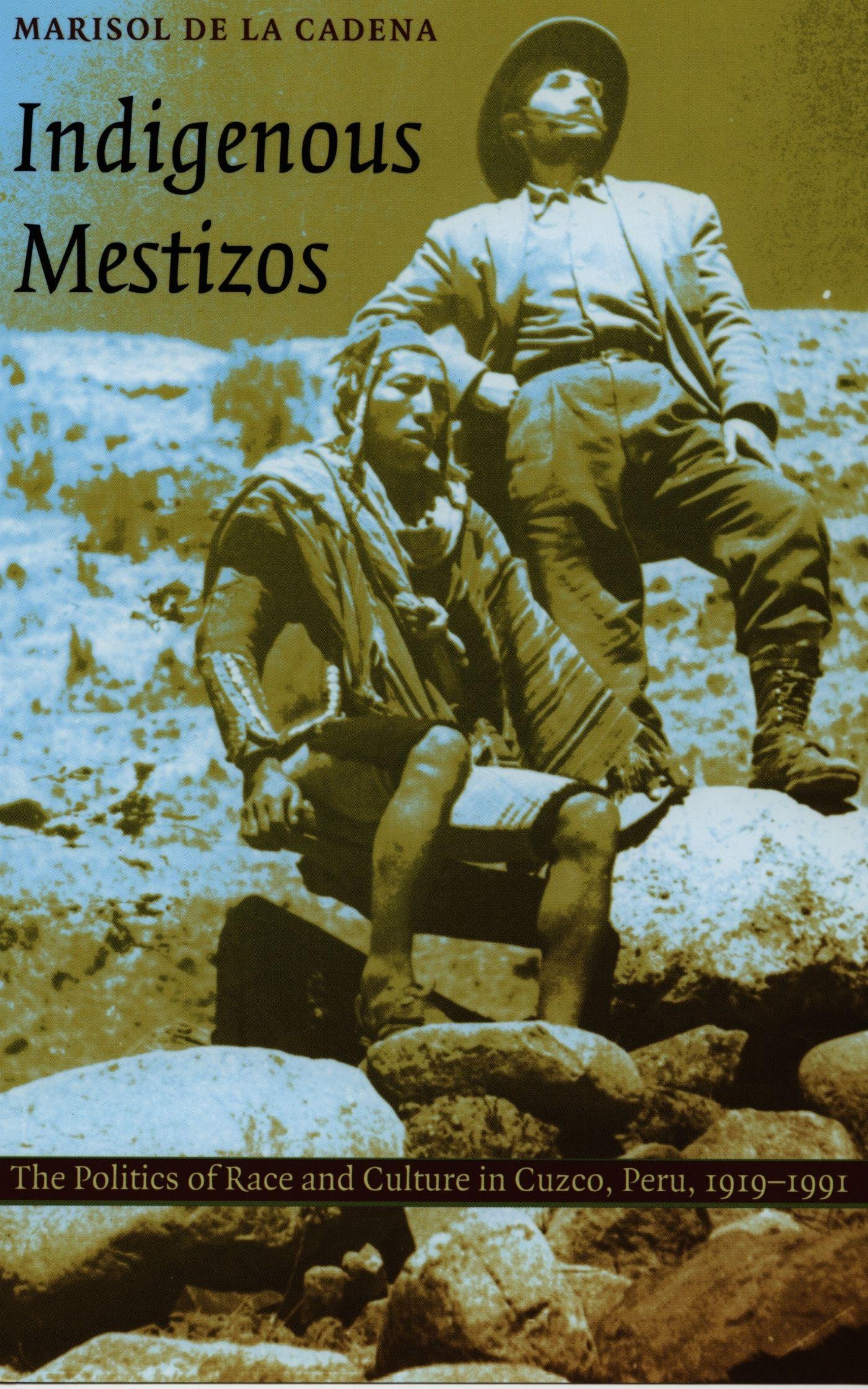Vorderes Coverbild Indigenous Mestizos
