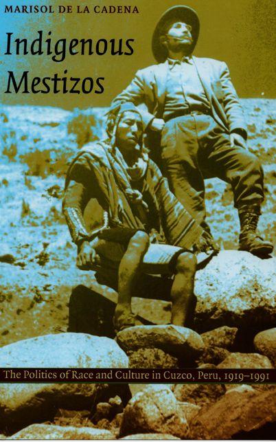 Vorderes Coverbild Indigenous Mestizos