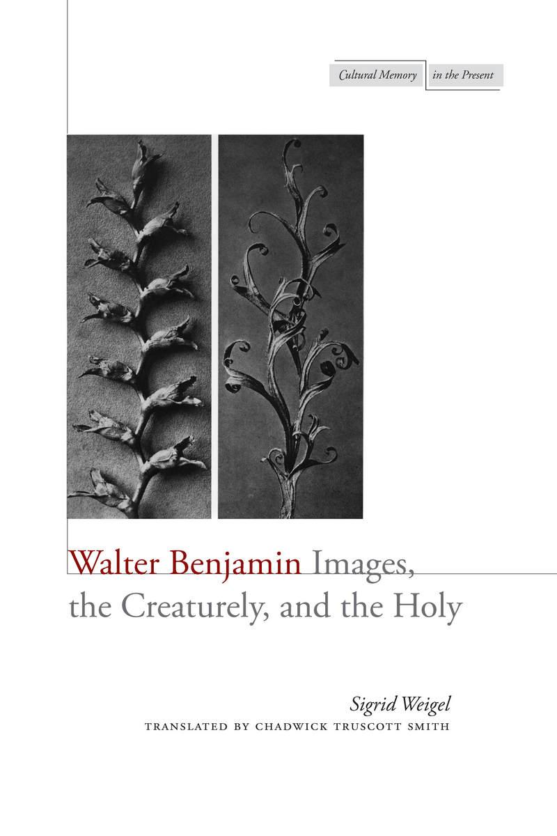 Vorderes Coverbild Walter Benjamin