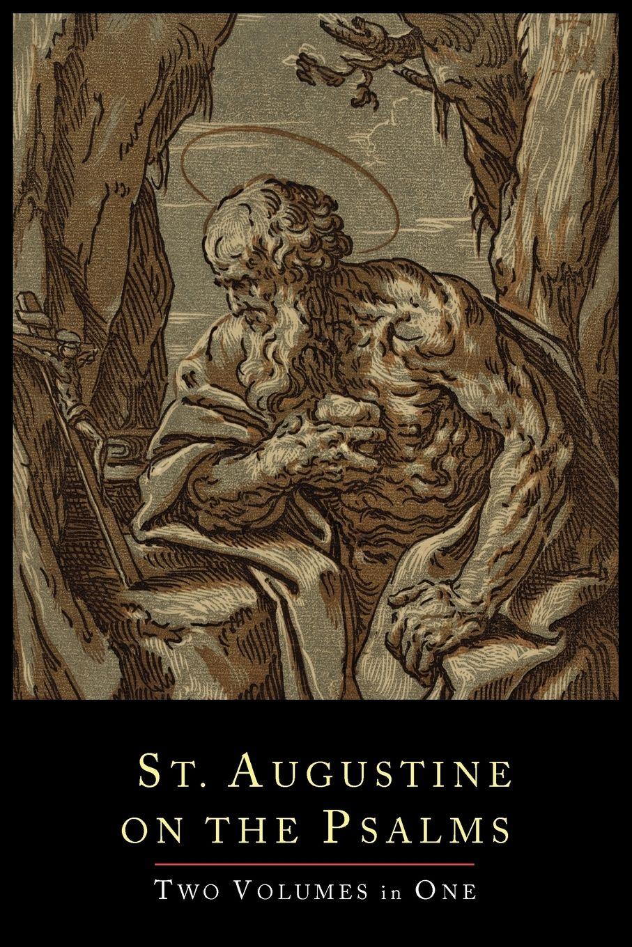 Vorderes Coverbild St. Augustine on the Psalms-Two Volume Set