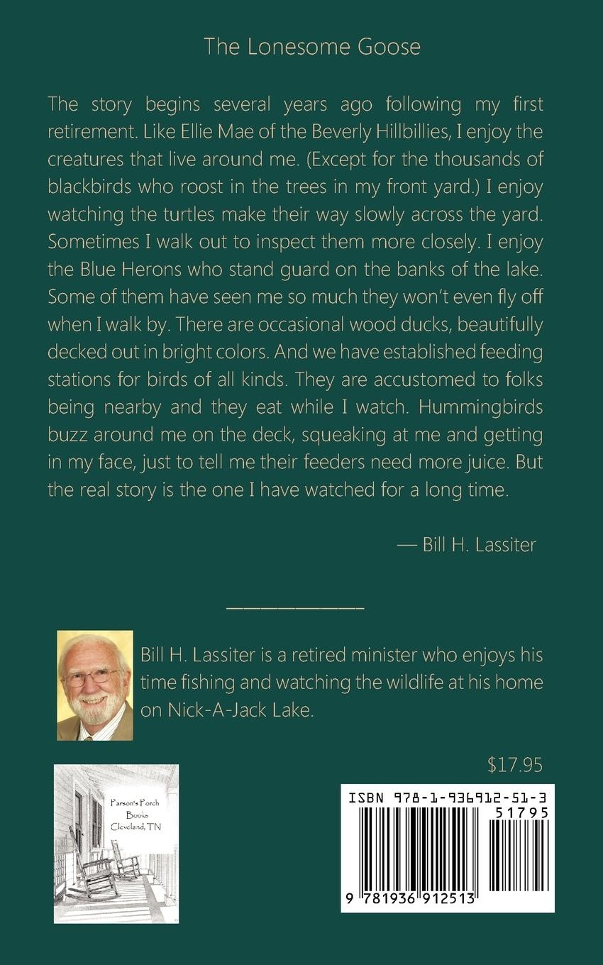 Rückseitencover The Lonesome Goose and Other Stories