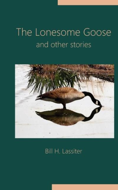 Vorderes Coverbild The Lonesome Goose and Other Stories