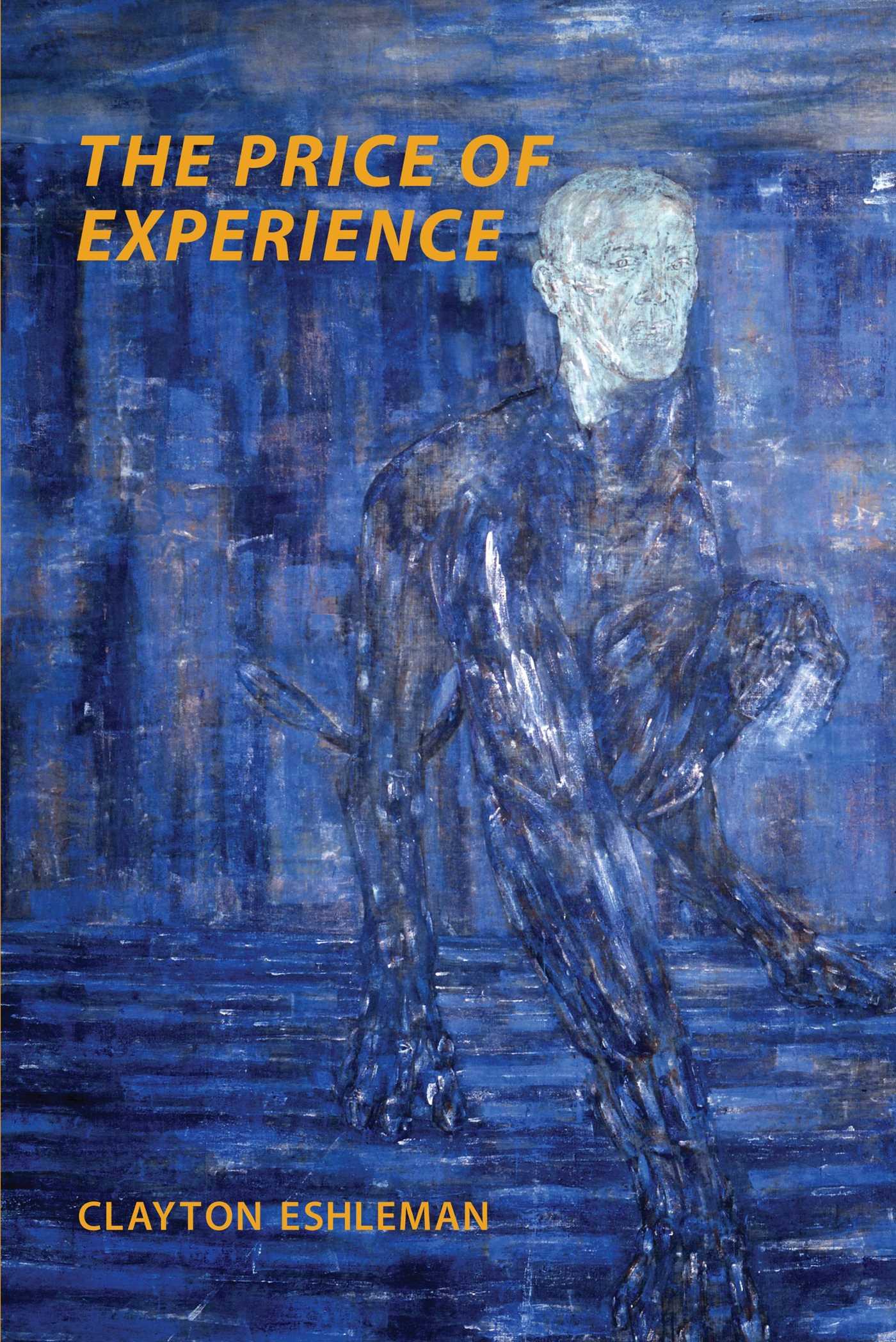 Vorderes Coverbild The Price of Experience