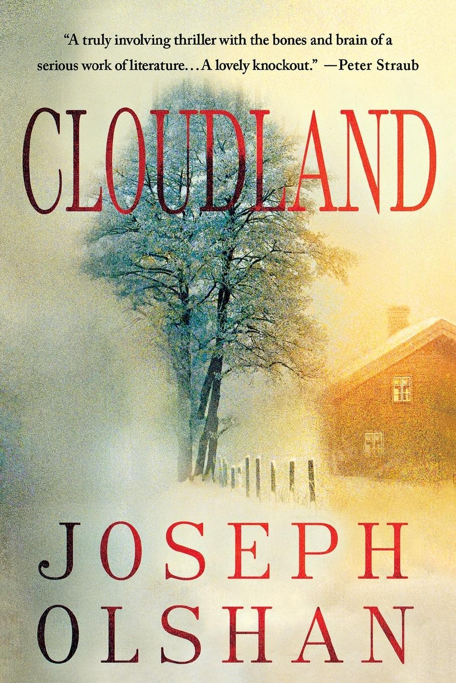 Vorderes Coverbild Cloudland