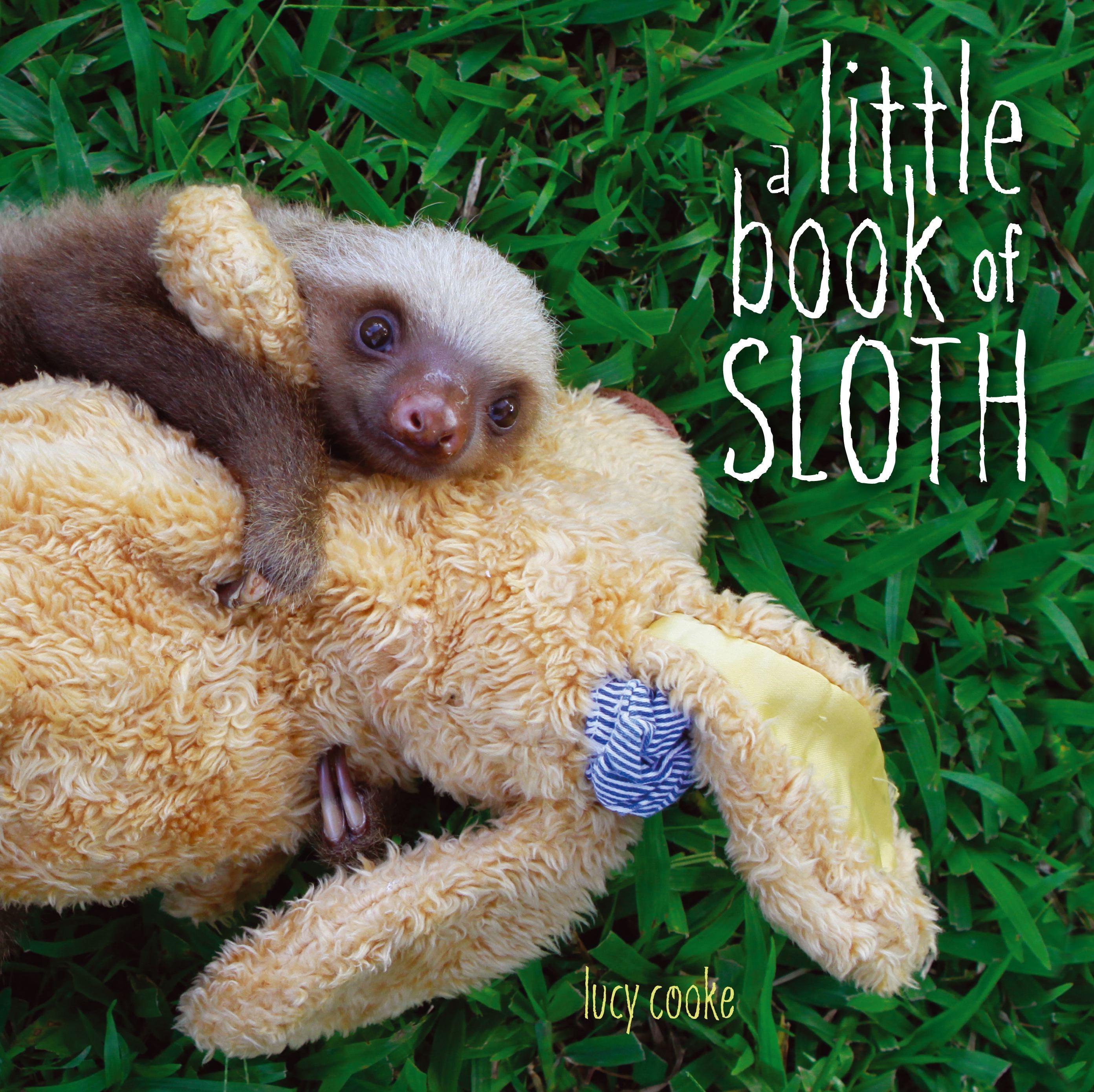 Vorderes Coverbild A Little Book of Sloth