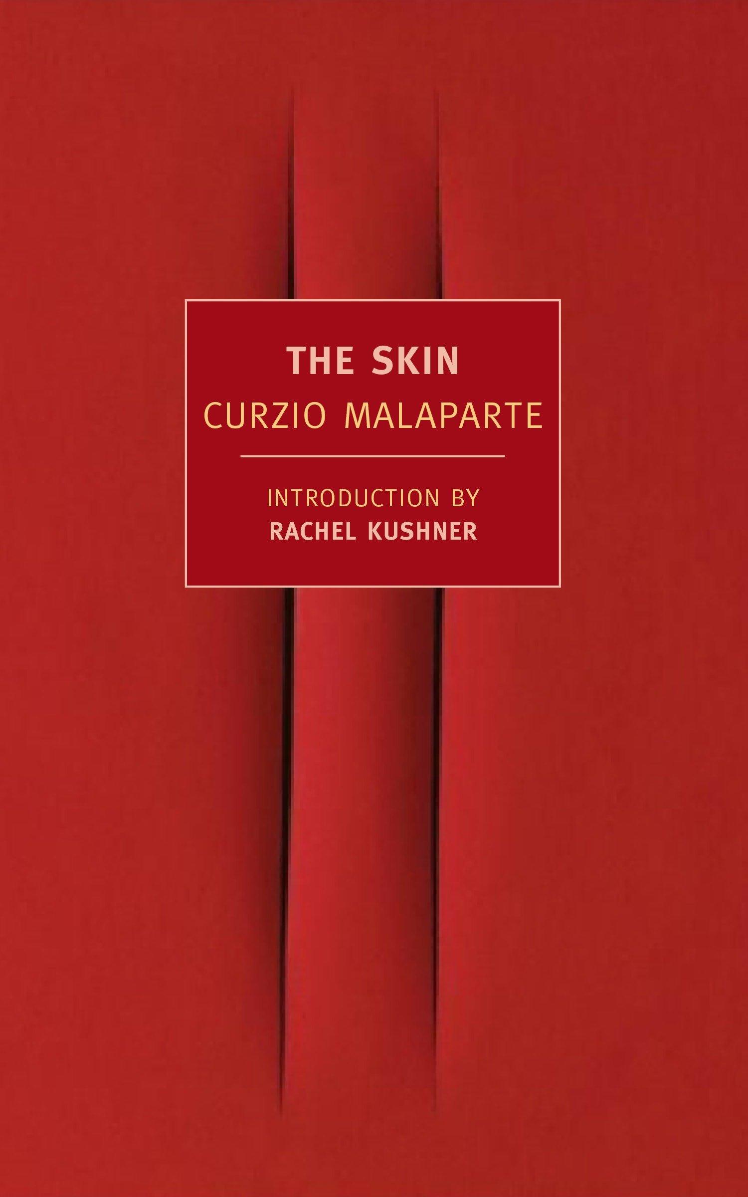 Vorderes Coverbild The Skin