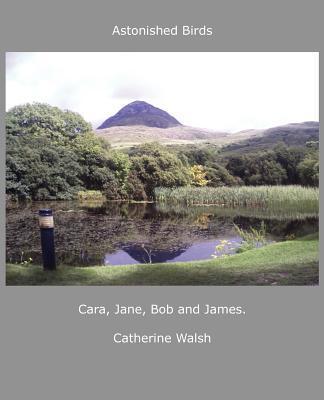 Vorderes Coverbild Astonished Birds Cara, Jane, Bob and James.