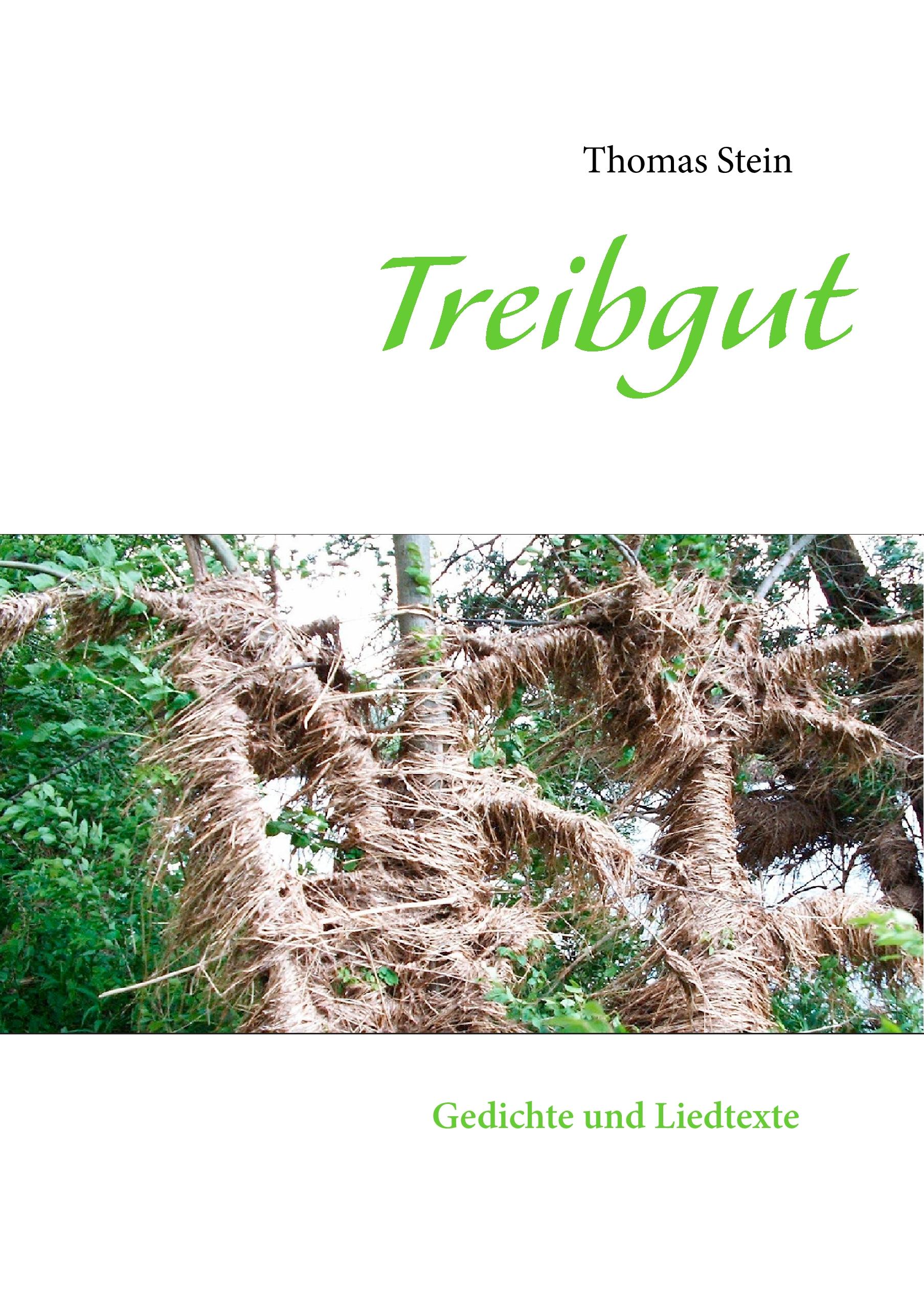 Vorderes Coverbild Treibgut