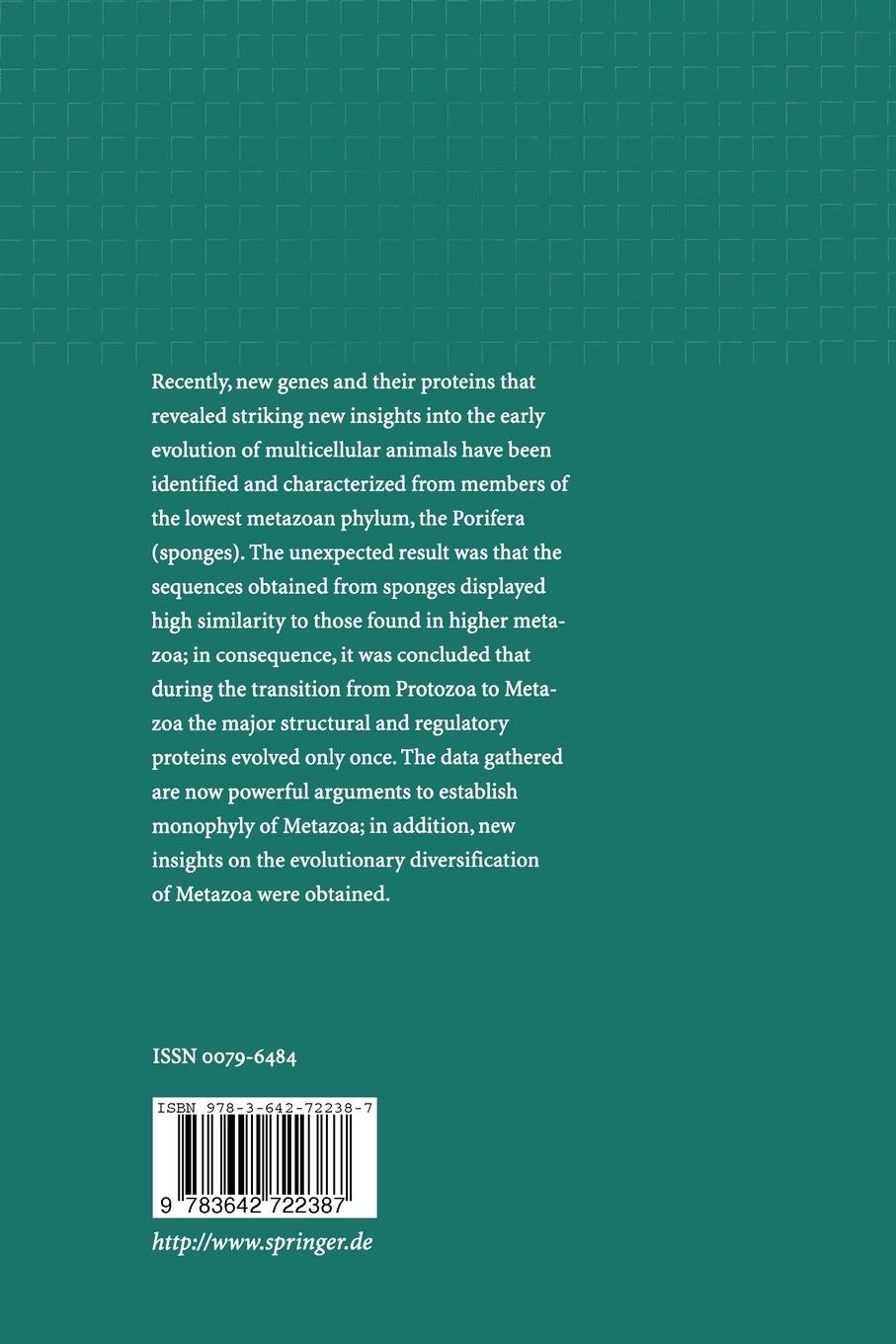 Rückseitencover Molecular Evolution: Towards the Origin of Metazoa