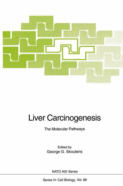 Vorderes Coverbild Liver Carcinogenesis