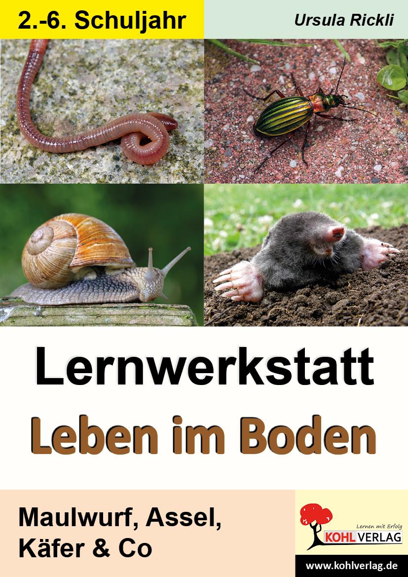 Vorderes Coverbild Lernwerkstatt Leben im Boden