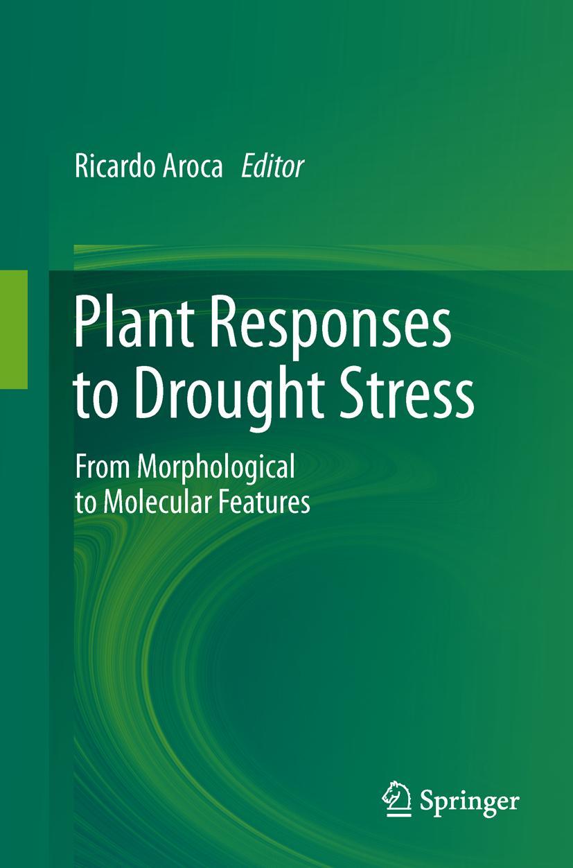 Vorderes Coverbild Plant Responses to Drought Stress