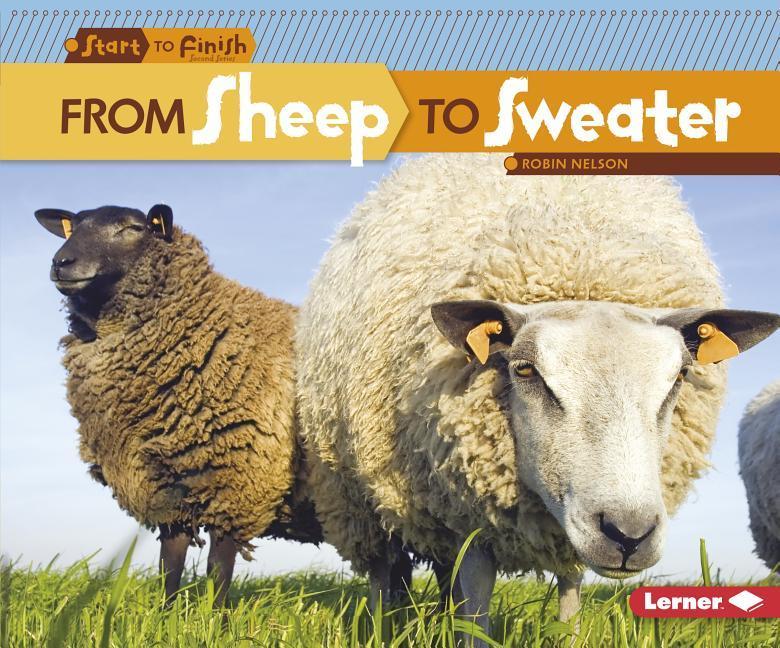 Vorderes Coverbild From Sheep to Sweater