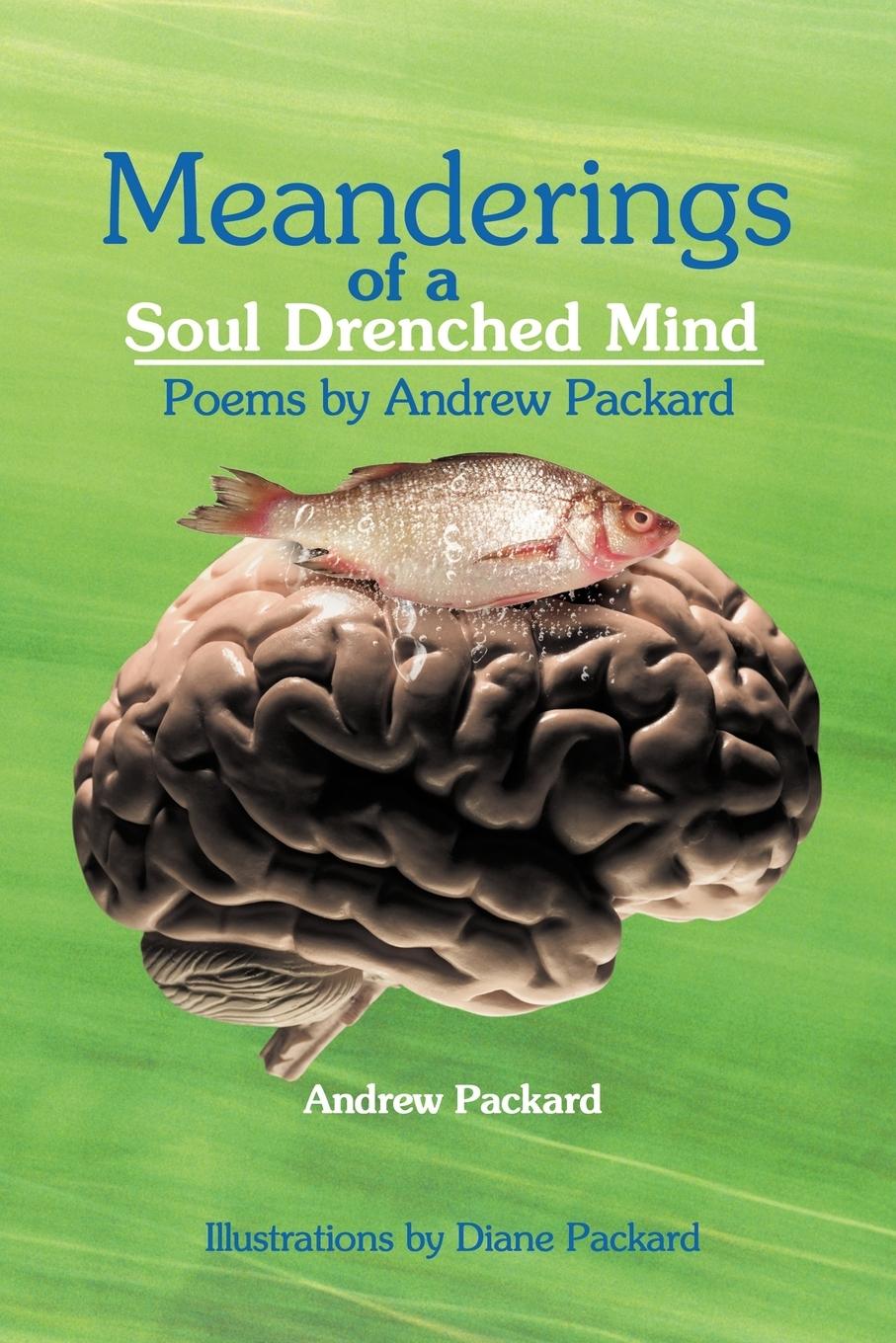 Vorderes Coverbild Meanderings of a Soul Drenched Mind