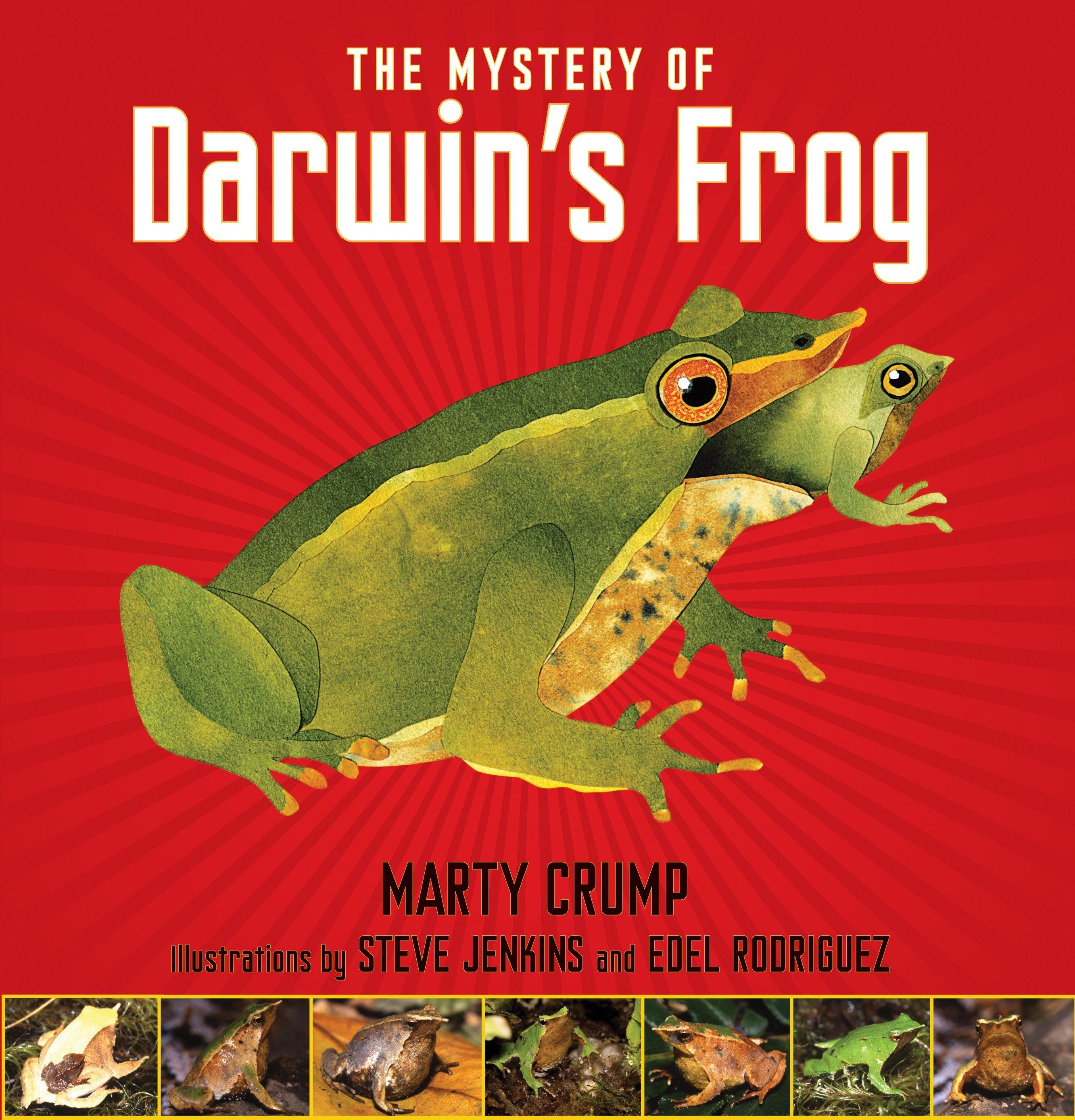 Vorderes Coverbild The Mystery of Darwin's Frog