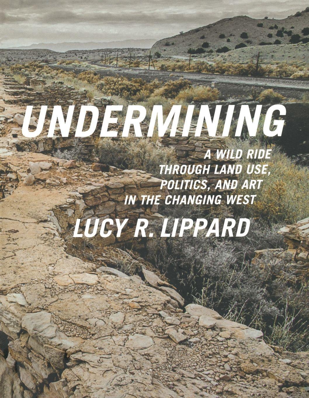 Vorderes Coverbild Undermining