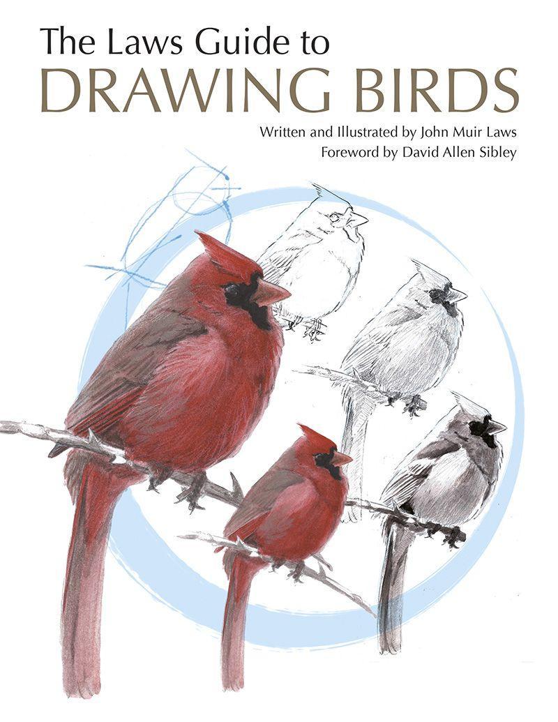Vorderes Coverbild The Laws Guide to Drawing Birds