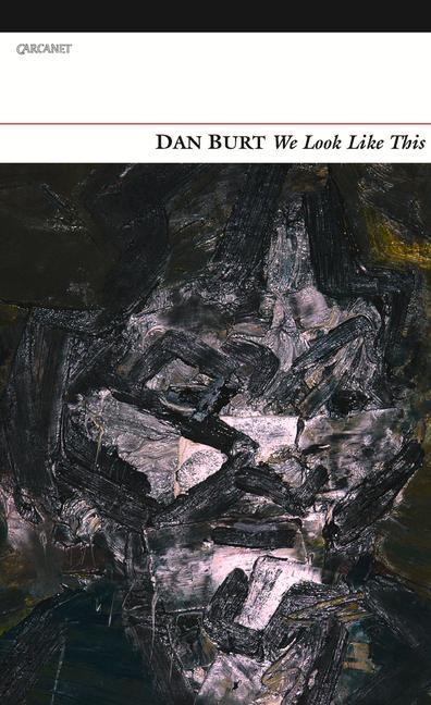 Vorderes Coverbild We Look Like This