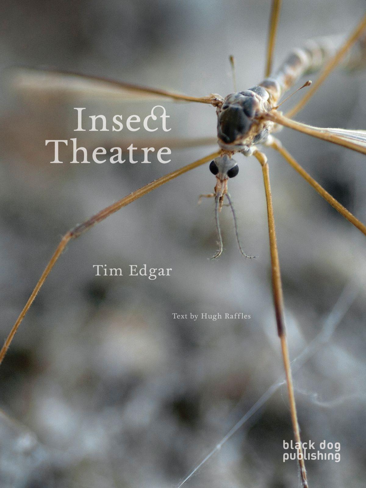 Vorderes Coverbild Insect Theatre