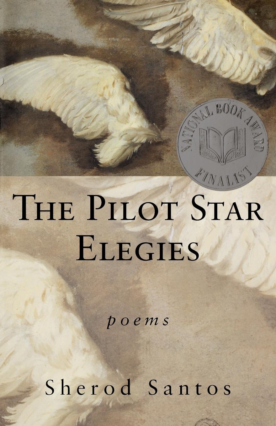 Vorderes Coverbild The Pilot Star Elegies