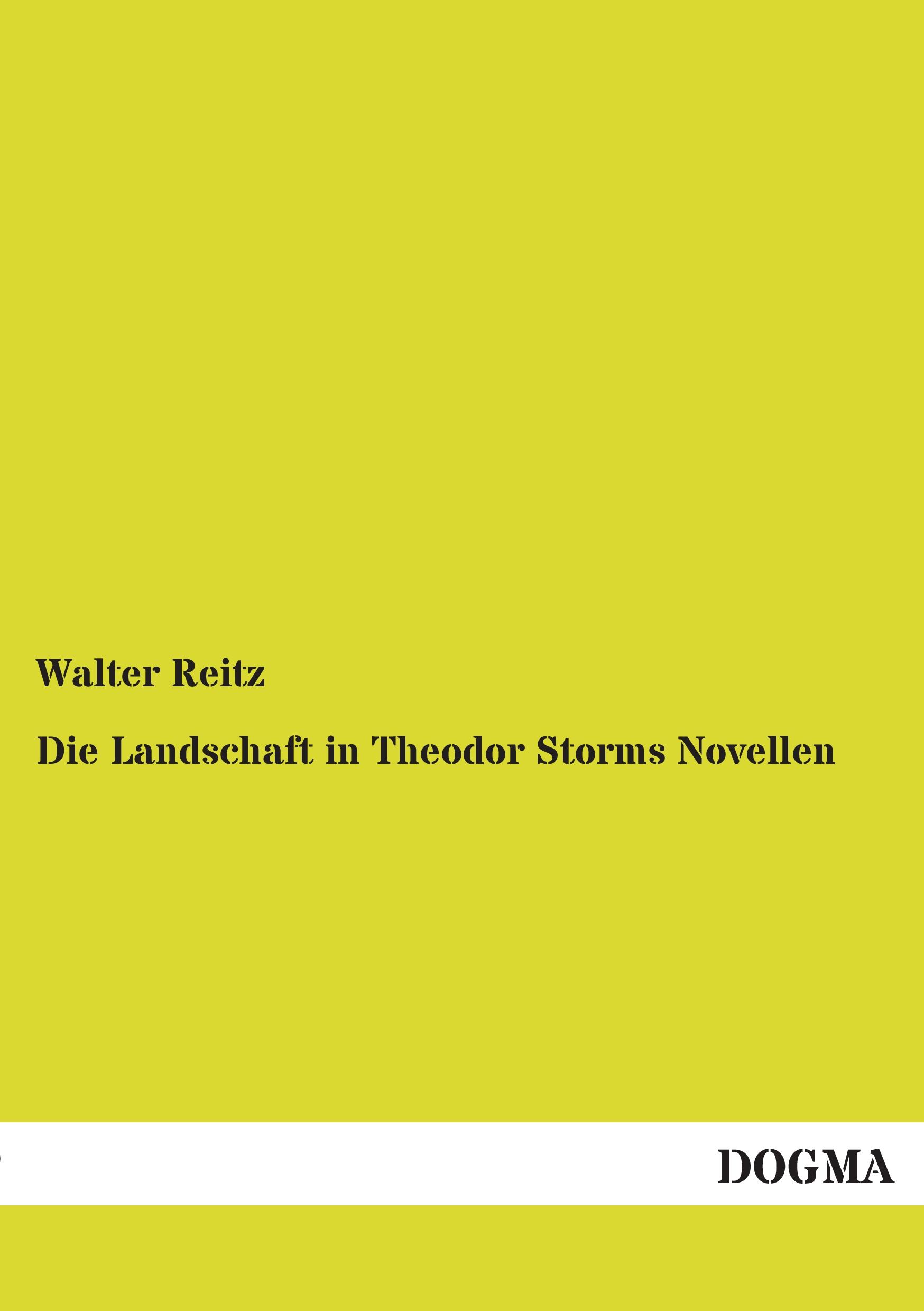 Vorderes Coverbild Die Landschaft in Theodor Storms Novellen