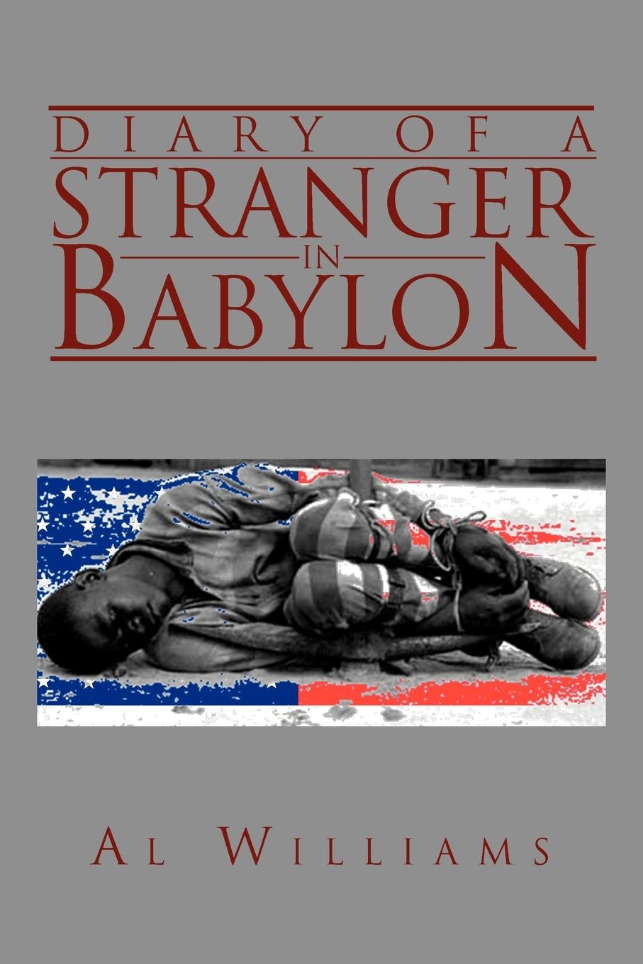 Vorderes Coverbild Diary of a Stranger in Babylon