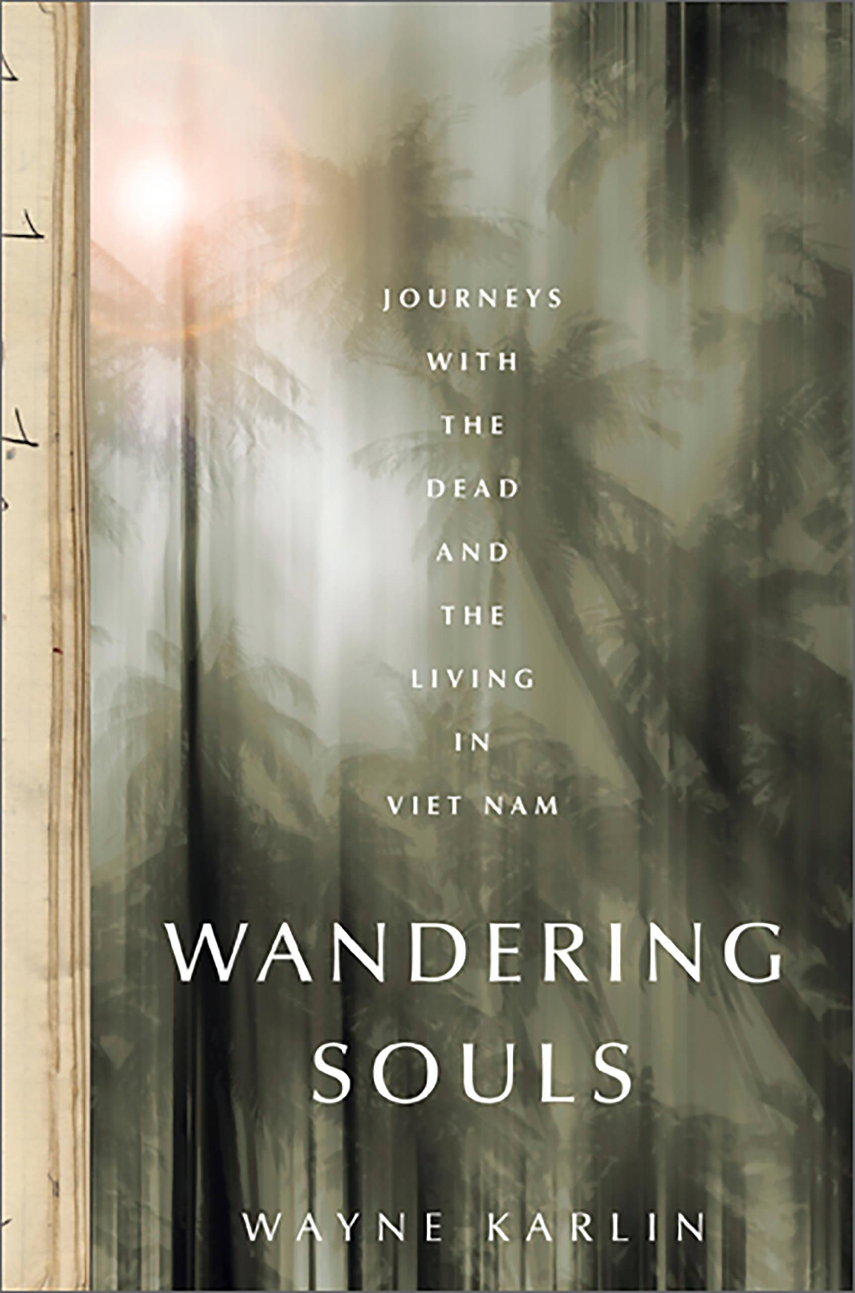 Vorderes Coverbild Wandering Souls