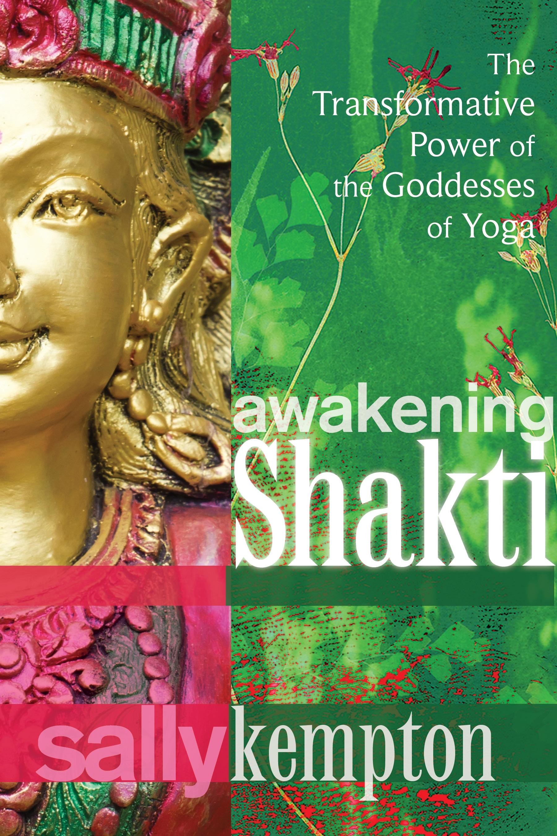 Vorderes Coverbild Awakening Shakti