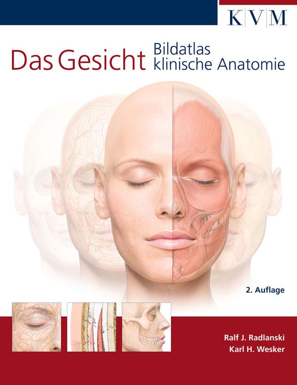 Vorderes Coverbild Das Gesicht