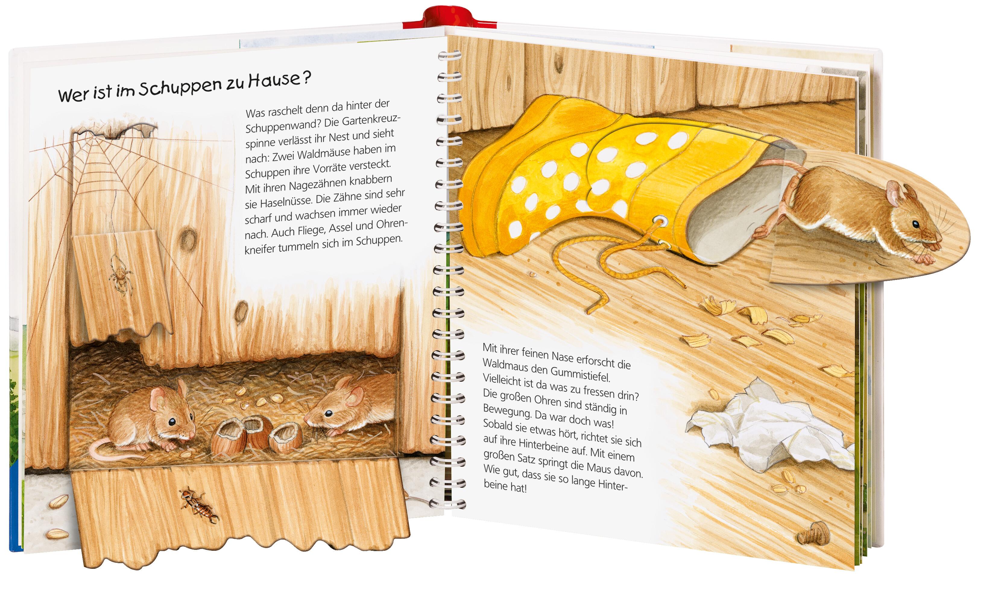 Beispielinhalt (Bild) Wieso? Weshalb? Warum? junior, Band 49: Wer lebt im Garten?