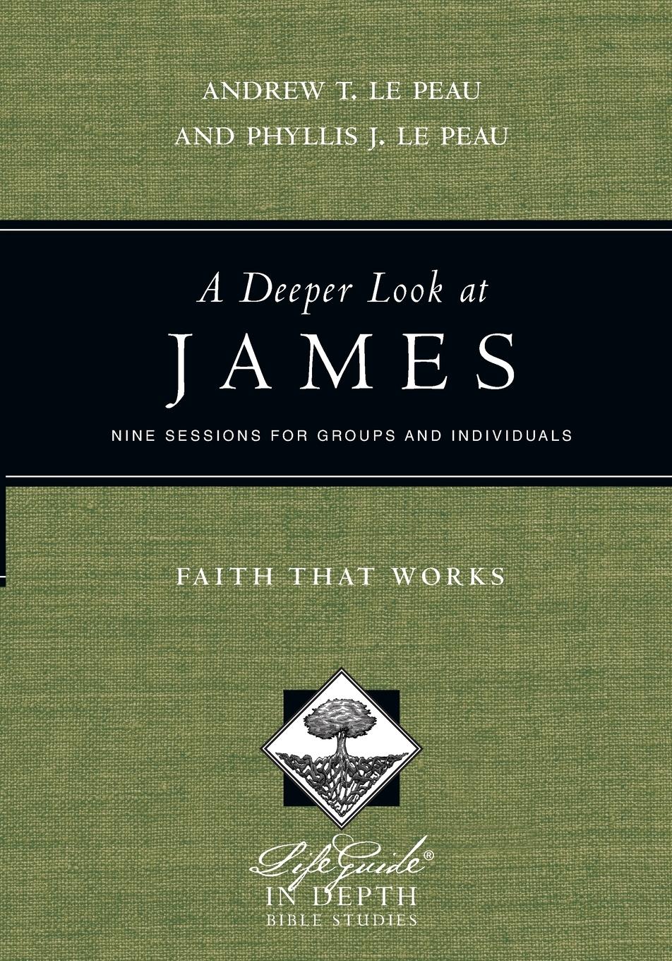 Vorderes Coverbild A Deeper Look at James