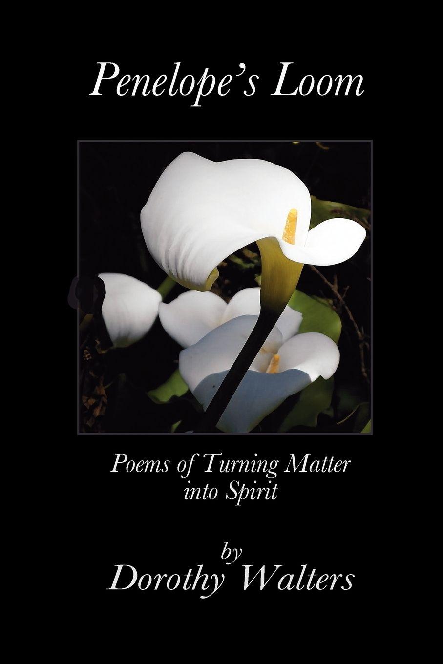 Vorderes Coverbild Penelope's Loom